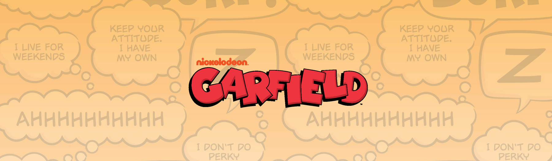 Our Garfield Collection! 🧡