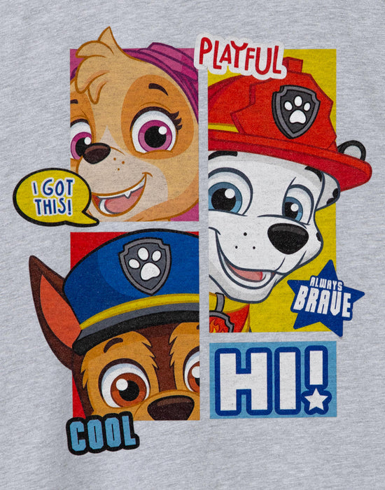 PAW Patrol Peekaboo Boys Grey Marl Short Sleeved T-Shirt