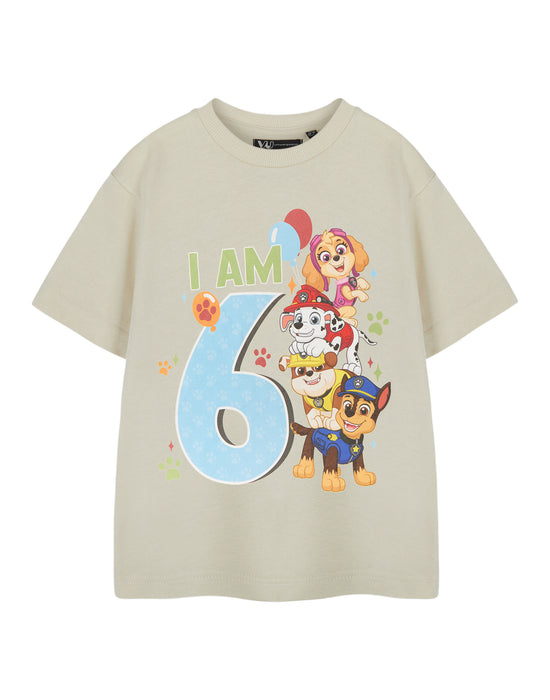 Paw Patrol Birthday Age Six Boys Beige Short Sleeved T-Shirt