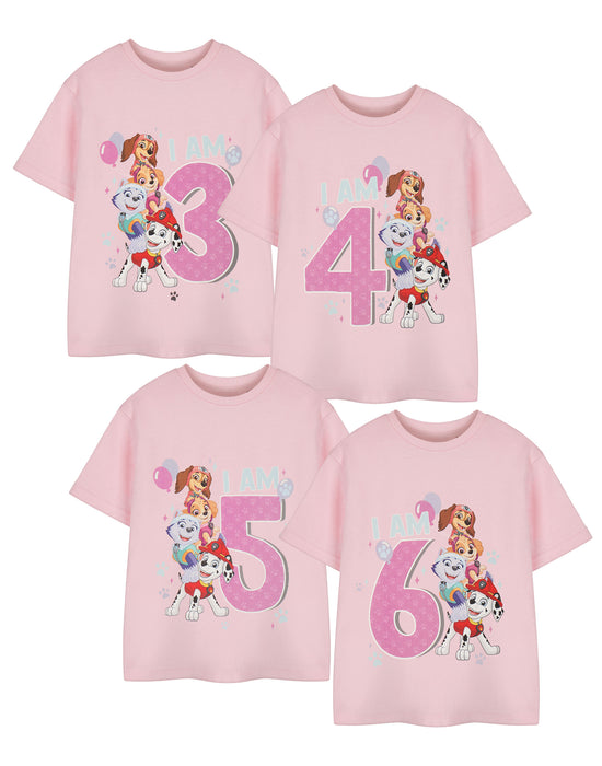 Paw Patrol Birthday Age Six Girls Pink Short Sleeved T-Shirt