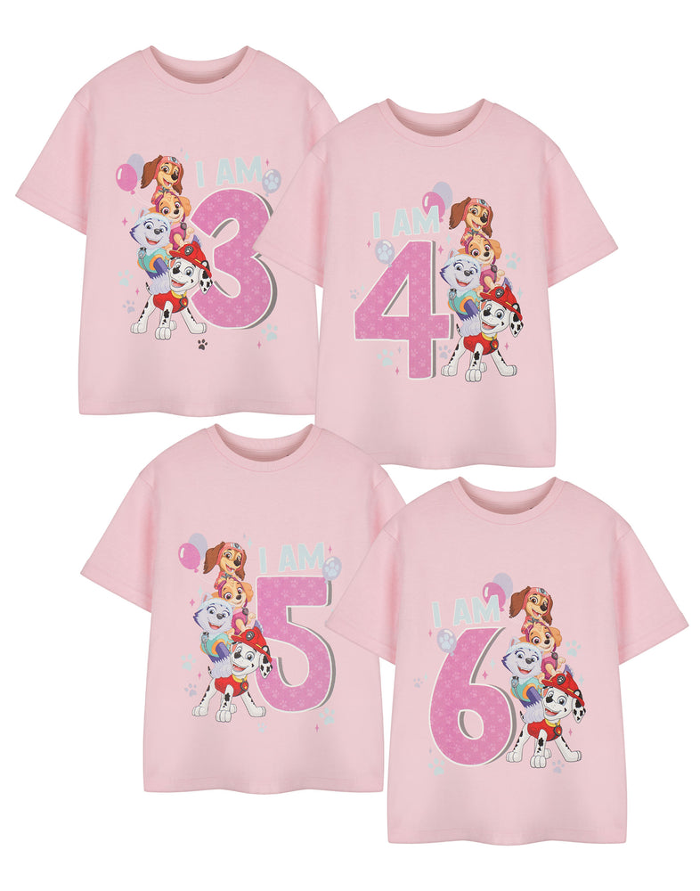 Paw Patrol Birthday Age Six Girls Pink Short Sleeved T-Shirt