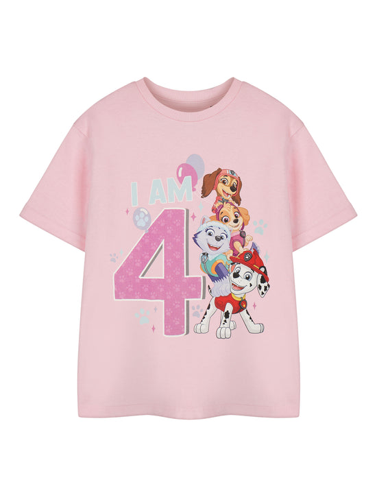 Paw Patrol Birthday Age Six Girls Pink Short Sleeved T-Shirt