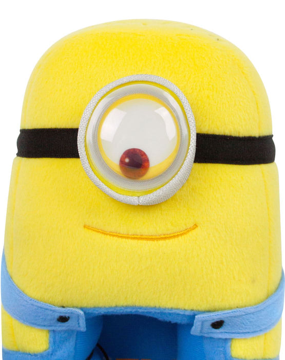 Minions Despicable Me Women's 3D Slippers